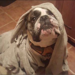 Meet your Posher, Kylie